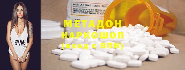 прущие грибы Алзамай