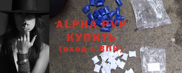 сатива Абинск