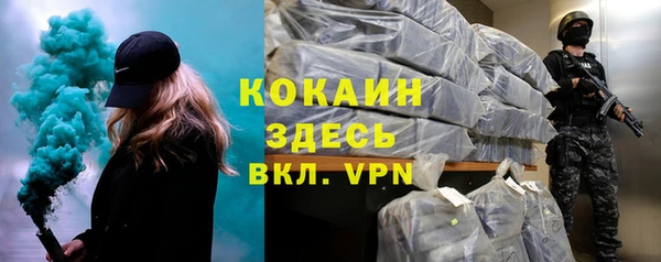 стафф Новодвинск