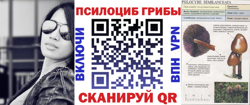 Галлюциногенные грибы Psilocybine cubensis  Островной 